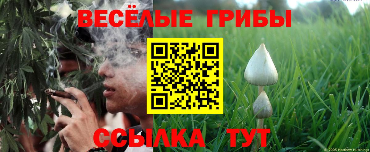Кыштым  Псилоцибиновые грибы GOLDEN TEACHER  Вход с VPN  Галлюциногенные грибы MAGIC MUSHROOMS 