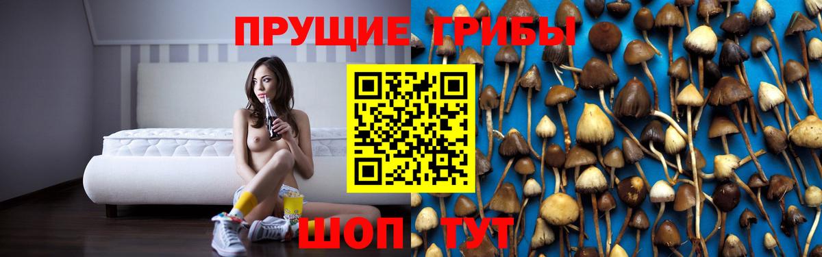 Галлюциногенные грибы MAGIC MUSHROOMS Кыштым
